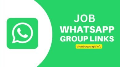 Job Group Whatsapp